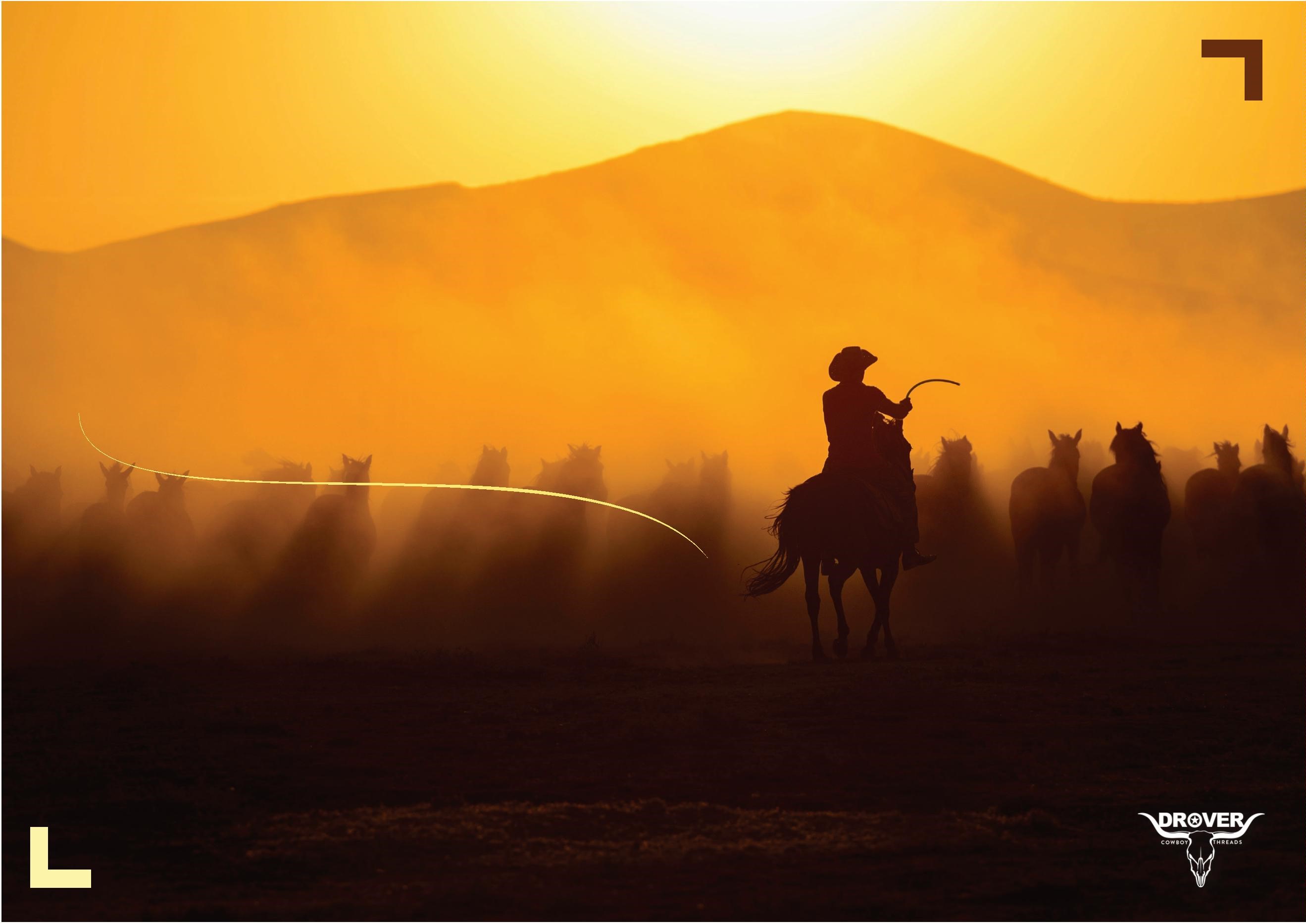 Drover brand background